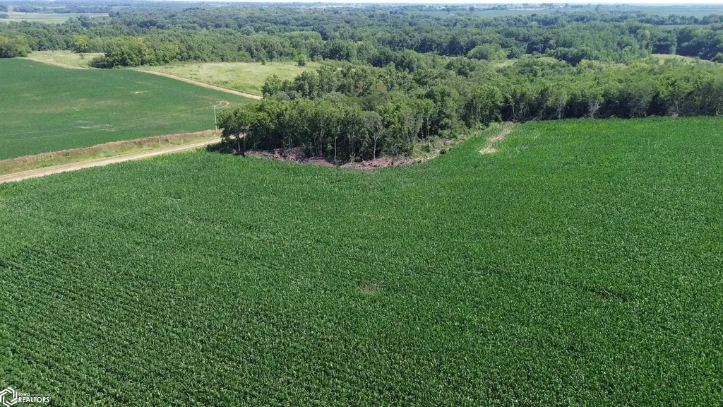 122 Acres Highway 21 Delta IA 52550