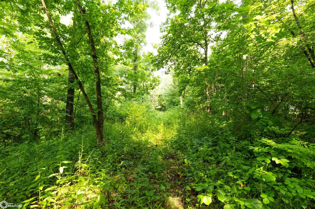 14500 Irish Ridge Road Burlington IA 52601