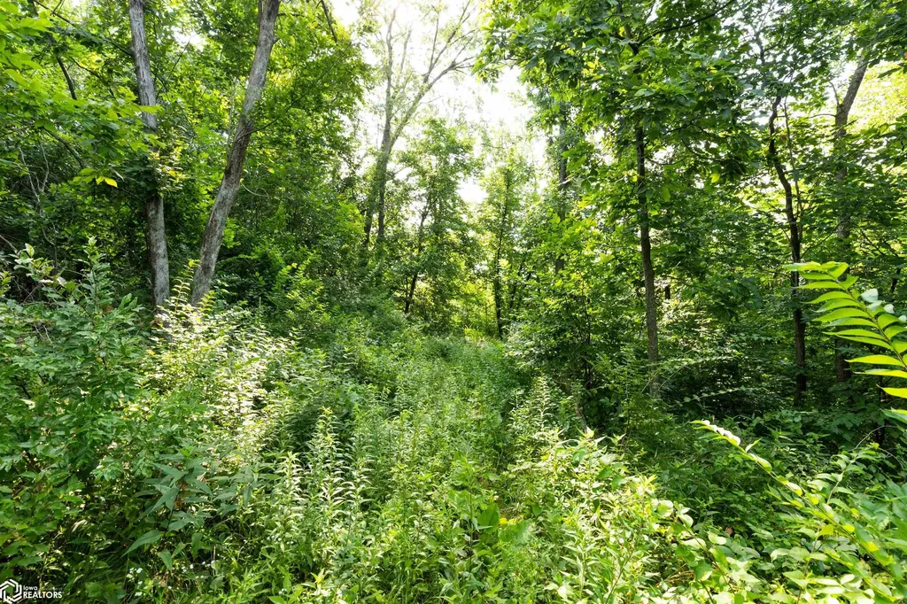 14500 Irish Ridge Road Burlington IA 52601