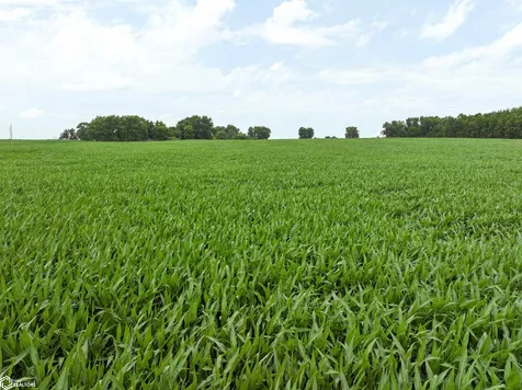 Jamestown Avenue Independence IA 50644