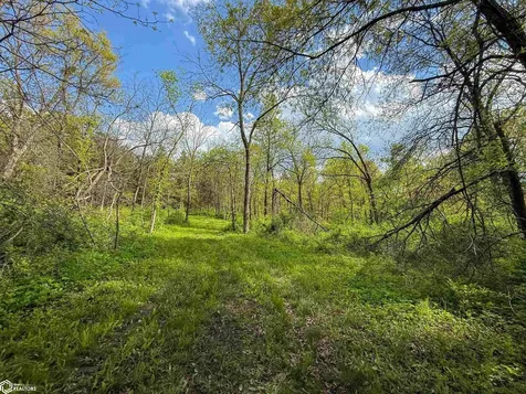 2137 623rd Avenue Albia IA 52531