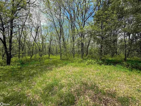 2137 623rd Avenue Albia IA 52531