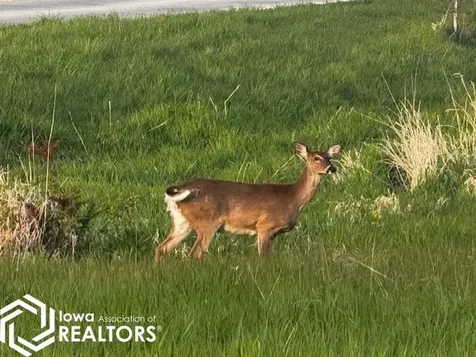 Lot 42 Parkside Knolls Moravia IA 52571