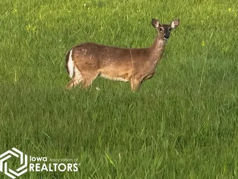 Lot 45 Parkside Knolls Moravia IA 52571