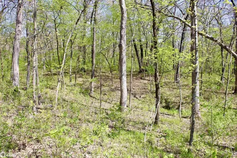 3611 Argyle Road Keokuk IA 52632