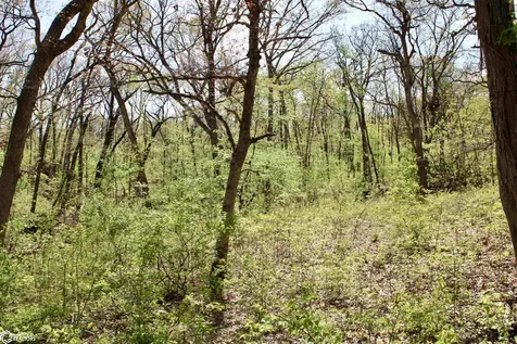 3611 Argyle Road Keokuk IA 52632