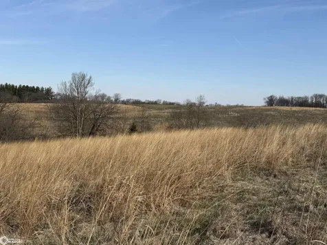 2943 Ia-92 Columbus City IA 52738