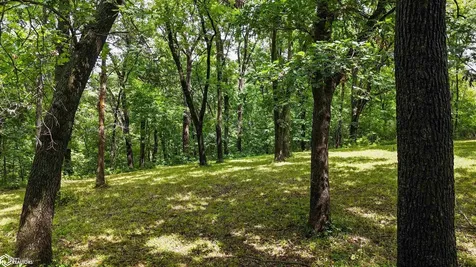 Tbd Boy Scout Road Central City IA 52214