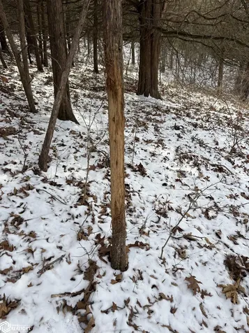 17113 110th Avenue Sperry IA 52650