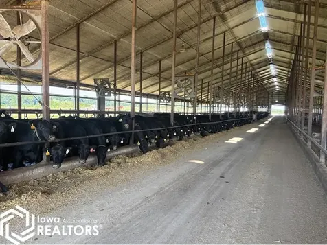 1350 Waubeek Road Central City IA 52214
