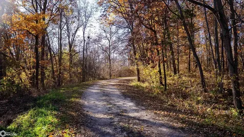 439 Delta Avenue Mechanicsville IA 52306