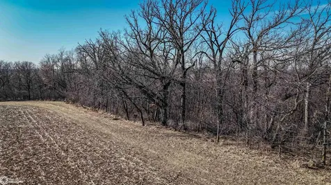 Tbd 102 Avenue Wheatland IA 52777