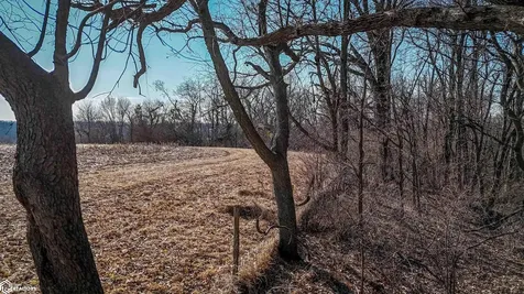 Tbd 102 Avenue Wheatland IA 52777