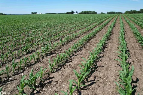 270TH Street Marshalltown IA 50158