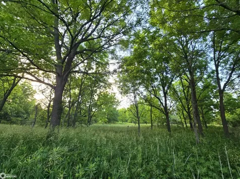 150TH Street Wilton IA 52778