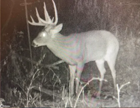 150TH Street Wilton IA 52778