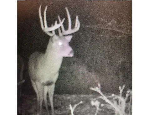 150TH Street Wilton IA 52778