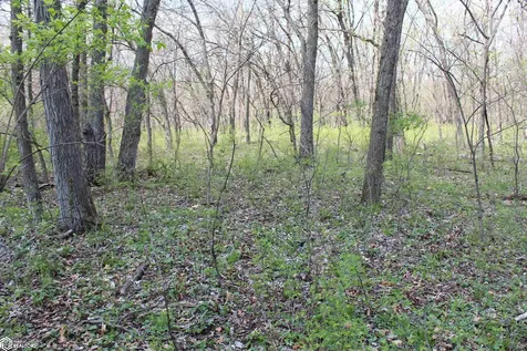 0 160th Avenue Moravia IA 52571