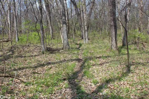 0 160th Avenue Moravia IA 52571
