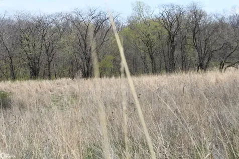 0 160th Avenue Moravia IA 52571