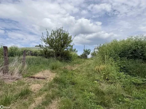 11059 Violet Avenue Stockport IA 52651