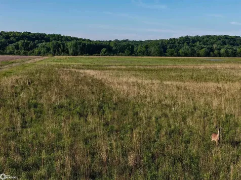 295TH Street Brighton IA 52540