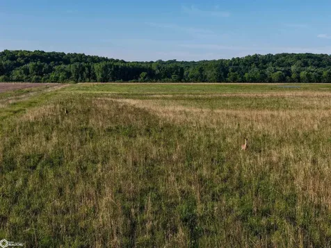 295TH Street Brighton IA 52540