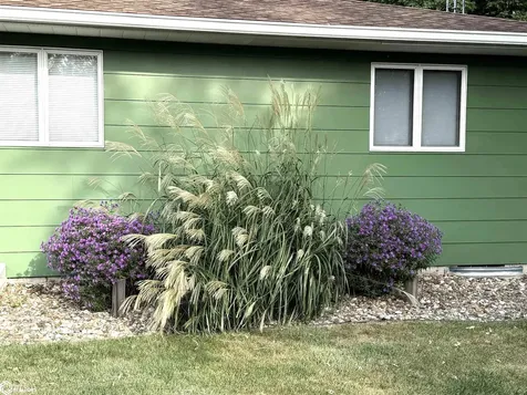 201 W 4th Street Packwood IA 52580