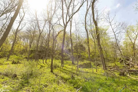 38346 Cherry Valley Road Guttenberg IA 52052