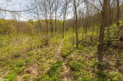 38346 Cherry Valley Road Guttenberg IA 52052