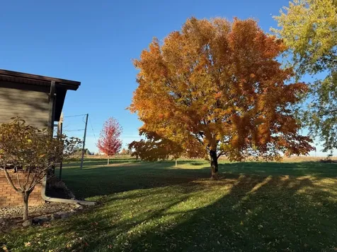 230 Law Avenue Iowa Falls IA 50126