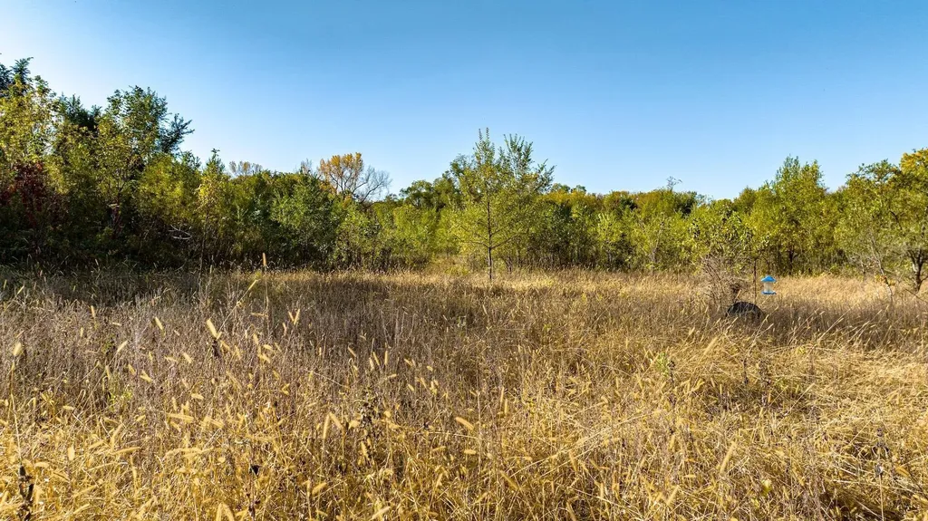 8052 Buck Ridge Road Janesville IA 50647