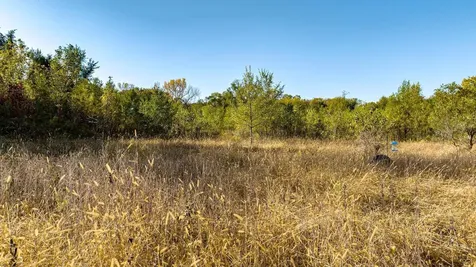 8052 Buck Ridge Road Janesville IA 50647