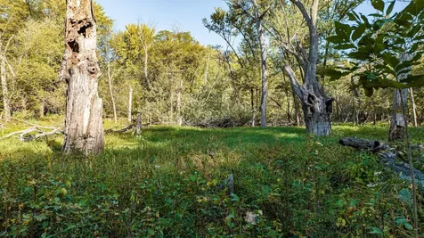 8052 Buck Ridge Road Janesville IA 50647