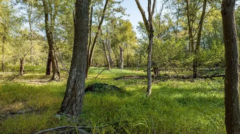 8052 Buck Ridge Road Janesville IA 50647