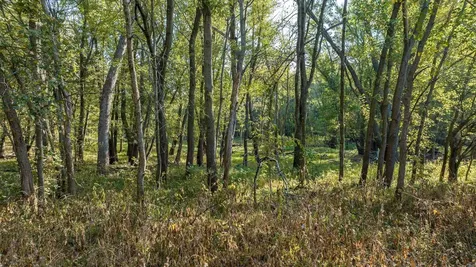 8052 Buck Ridge Road Janesville IA 50647