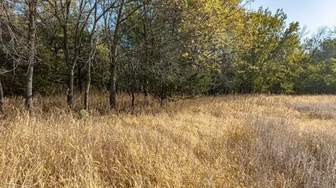 8052 Buck Ridge Road Janesville IA 50647