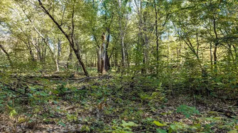 8052 Buck Ridge Road Janesville IA 50647