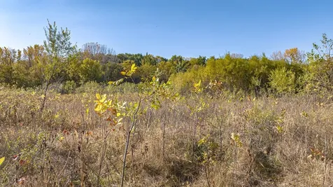 8052 Buck Ridge Road Janesville IA 50647