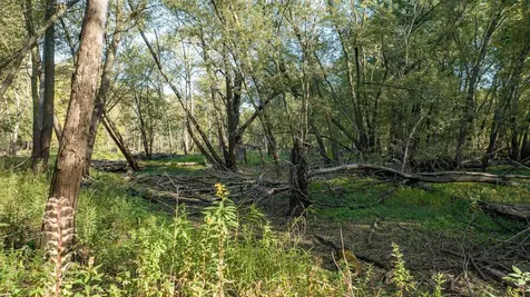 8052 Buck Ridge Road Janesville IA 50647