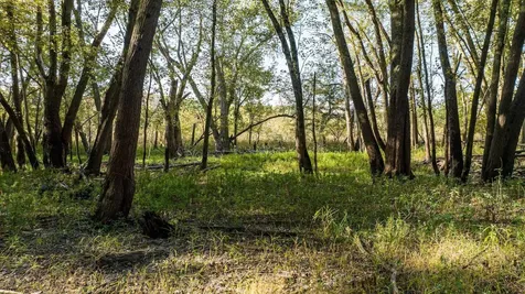 8052 Buck Ridge Road Janesville IA 50647