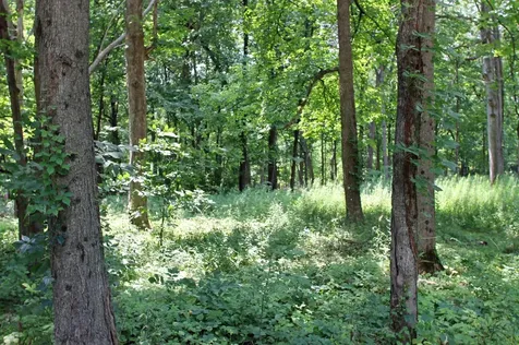 Country Hills Lane Denver IA 50622