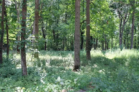 Country Hills Lane Denver IA 50622