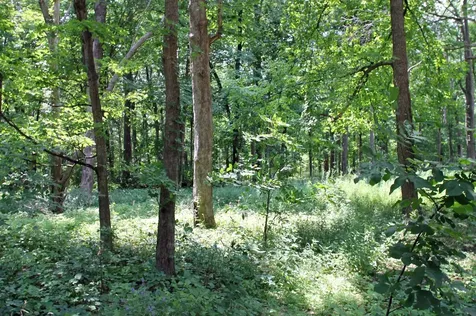 Country Hills Lane Denver IA 50622