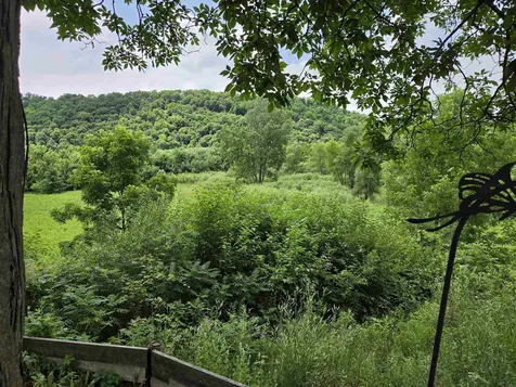 33932 Buck Creek Road Guttenberg IA 52052