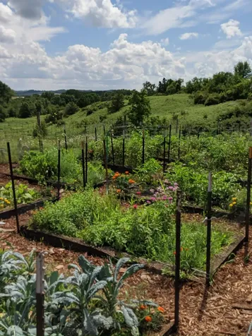 30000 Evergreen Road Elkader IA 52043