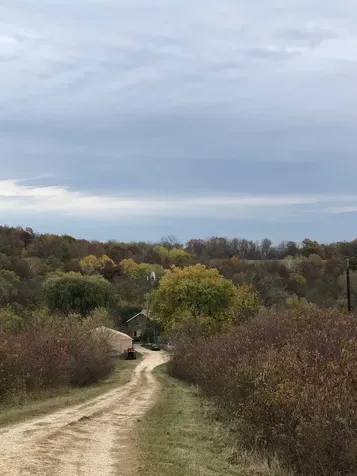 30000 Evergreen Road Elkader IA 52043