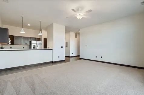 120 Twin Steeples Circle NE #215 Dyersville IA 52040