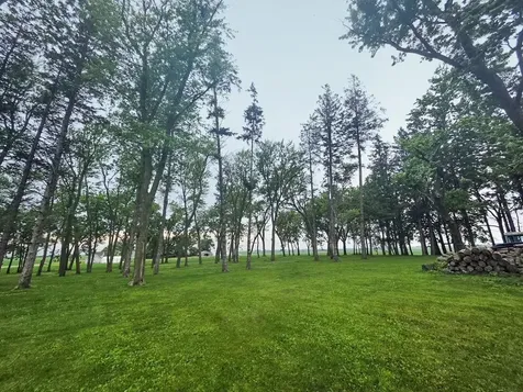 3333 220th Street Masonville IA 50654