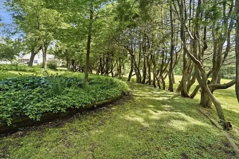 221 Forrest Avenue Denver IA 50622